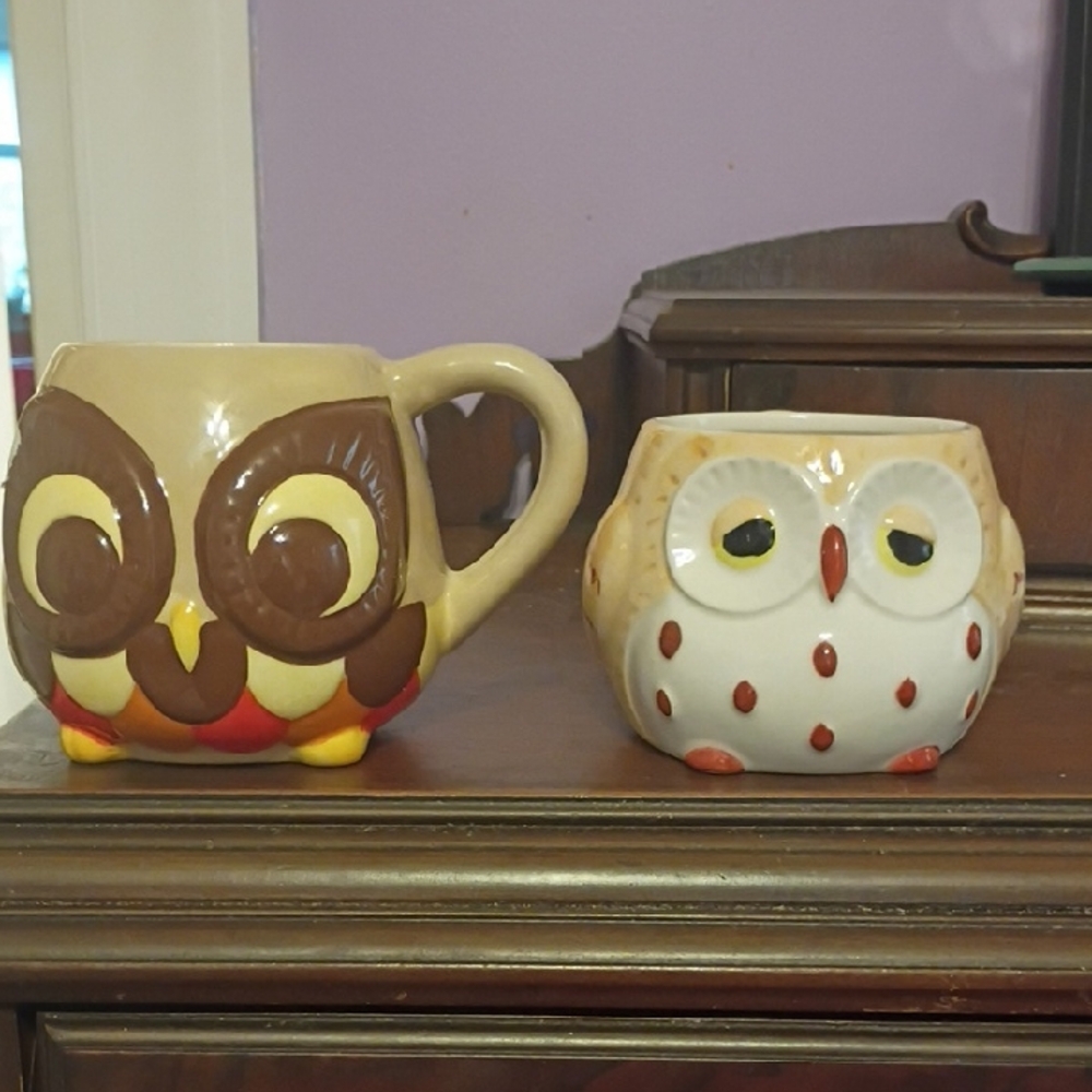 Two Owl Mugs For The Price Of One